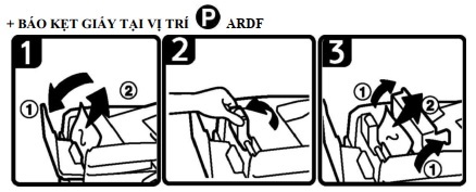 báo kẹt giấy ở vị trí P