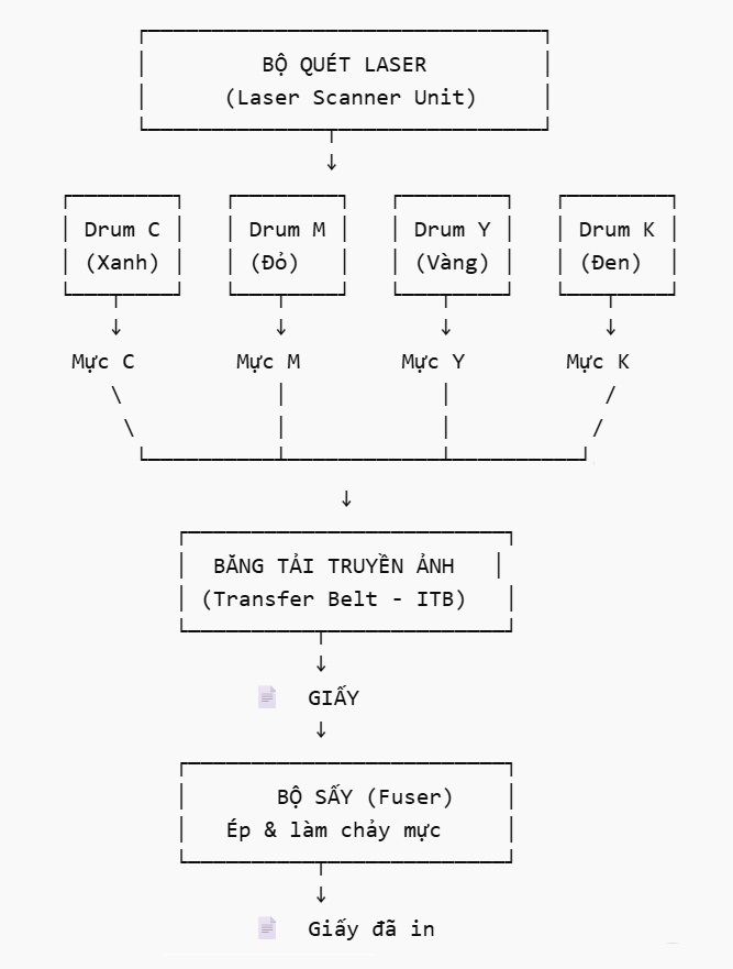 Sơ đồ nguyên lý máy photocopy màu