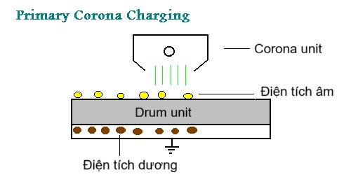Cấu tạo máy photocopy