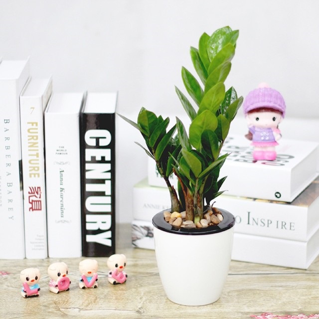 Cây xanh giả trang trí văn phòng