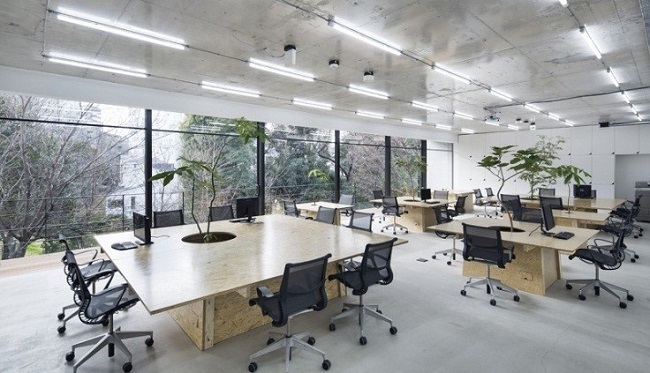 Cách chọn thuê văn phòng có phong thuỷ tốt