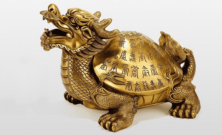Rùa đầu rồng