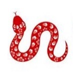 tuổi tỵ
